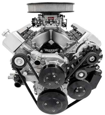 Chevy LS Pro Track Serpentine System - PS & ALT - Black