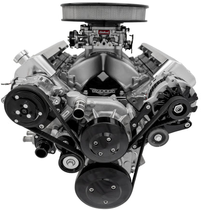 Chevy LS Pro Track Serpentine System - AC & ALT - Black