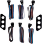 20101516_0.png