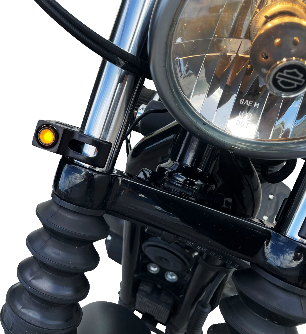 20202142_6.png