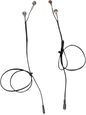 21300079_0.png