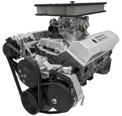 Small Block Chevy Serpentine Conversion Deluxe; LWP; PS ALT; Saginaw-Key; Black