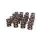 Comp Cams 1.560 2 SPRING ASSEMBLY