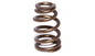 Race Sportsman 1.585" OD Beehive Spring; 1.925" Installed Height; 1 Spring
