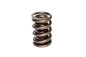 Race Endurance 1.564" OD Dual Spring; 1.900" Installed Height; 1 Spring