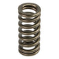 Valve Spring For Powerstroke 6.0/6.4