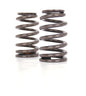 Beehive LS6+ Valve Spring For GM LS Engines