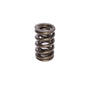 Race Street 1.320" OD Dual Spring; 1.770" Installed Height; 1 Spring