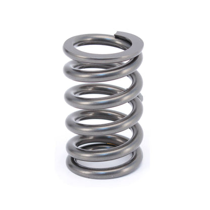 Engine Valve Spring
