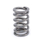 Engine Valve Spring