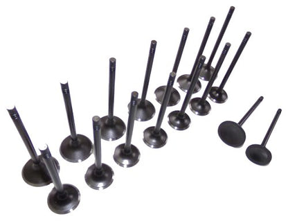 Exhaust / Intake Valve Kit 2000-2012 Chevrolet,Oldsmobile,Pontiac,Saturn 2.2L-2.4L