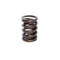 Comp Cams 1.450 OUTER WITH DAMPNER