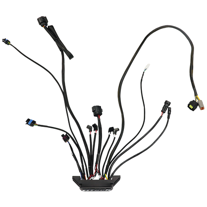 FiTech - 30062 Replacement ECU
