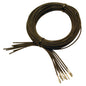 Switch Outputs Push Into Conn  Direct