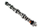 Magnum 243/243 Solid Roller Cam For Ford 221-302