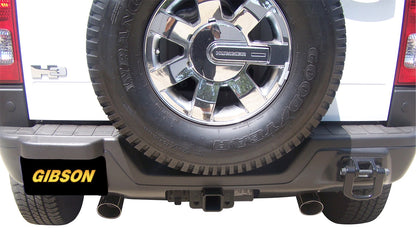 Dual Split Exhaust System