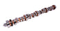 Drag Race 268/276 Solid Roller Cam For Ford 429460