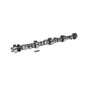 Xtreme Energy 224/230  Hydraulic Roller Cam For Ford 351W