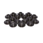 Comp Cams Steel Retainer, 3-Valve Ford 4.6L