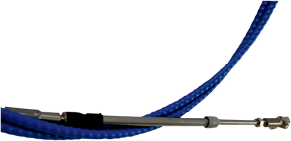 48070051_2.png