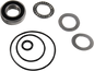 48070060_0.png