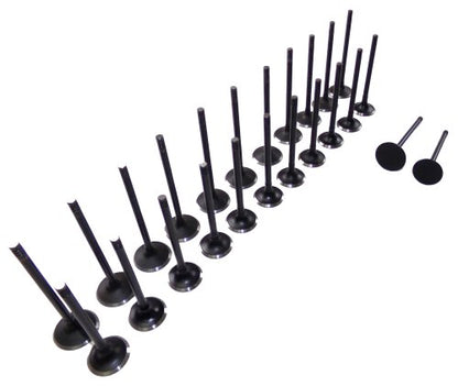 Exhaust / Intake Valve Kit 1998-2004 Acura,Honda,Isuzu 3.2L-3.5L