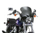 Windshield - N21601