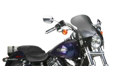 Windshield - N21601