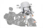 Windshield Spartan 19 - N21200