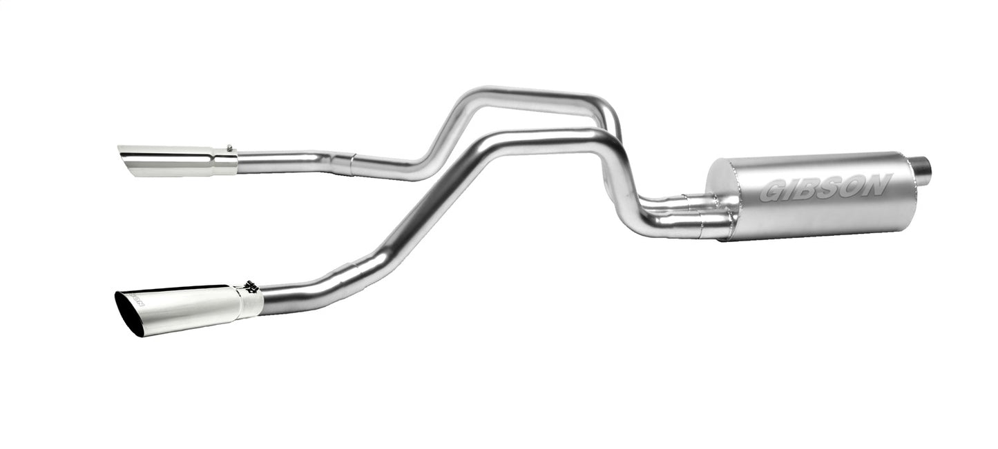 Dual Split Exhaust System