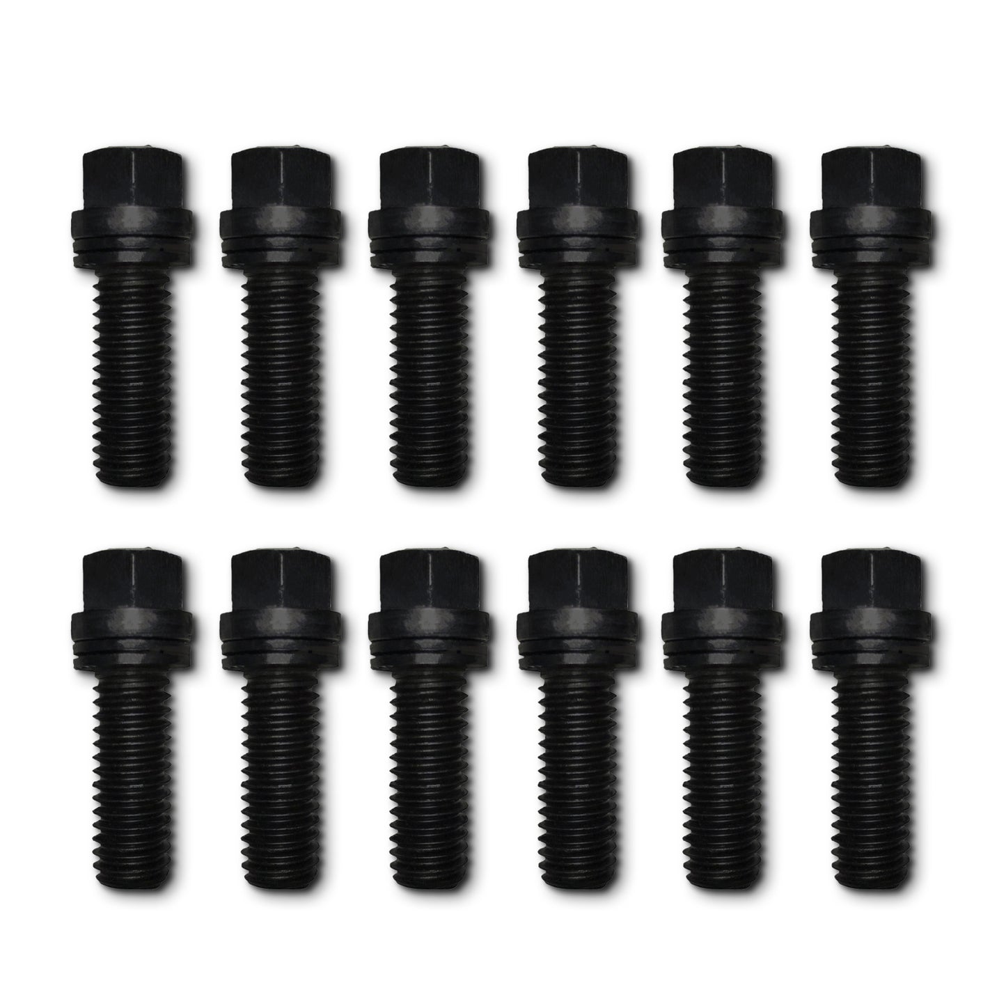 12 Pcs