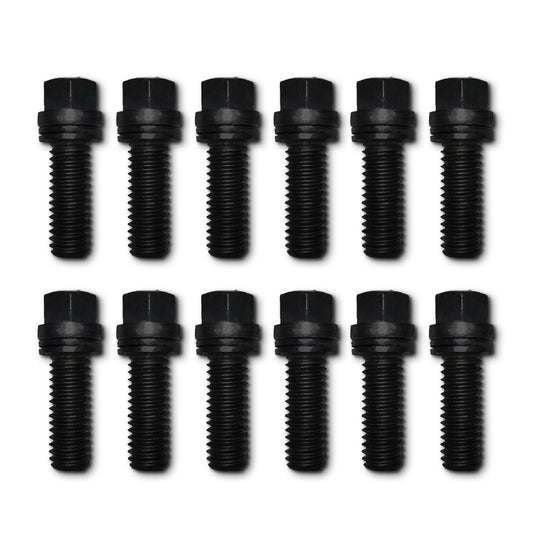 12 Pcs