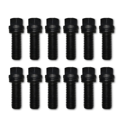 12 Pcs