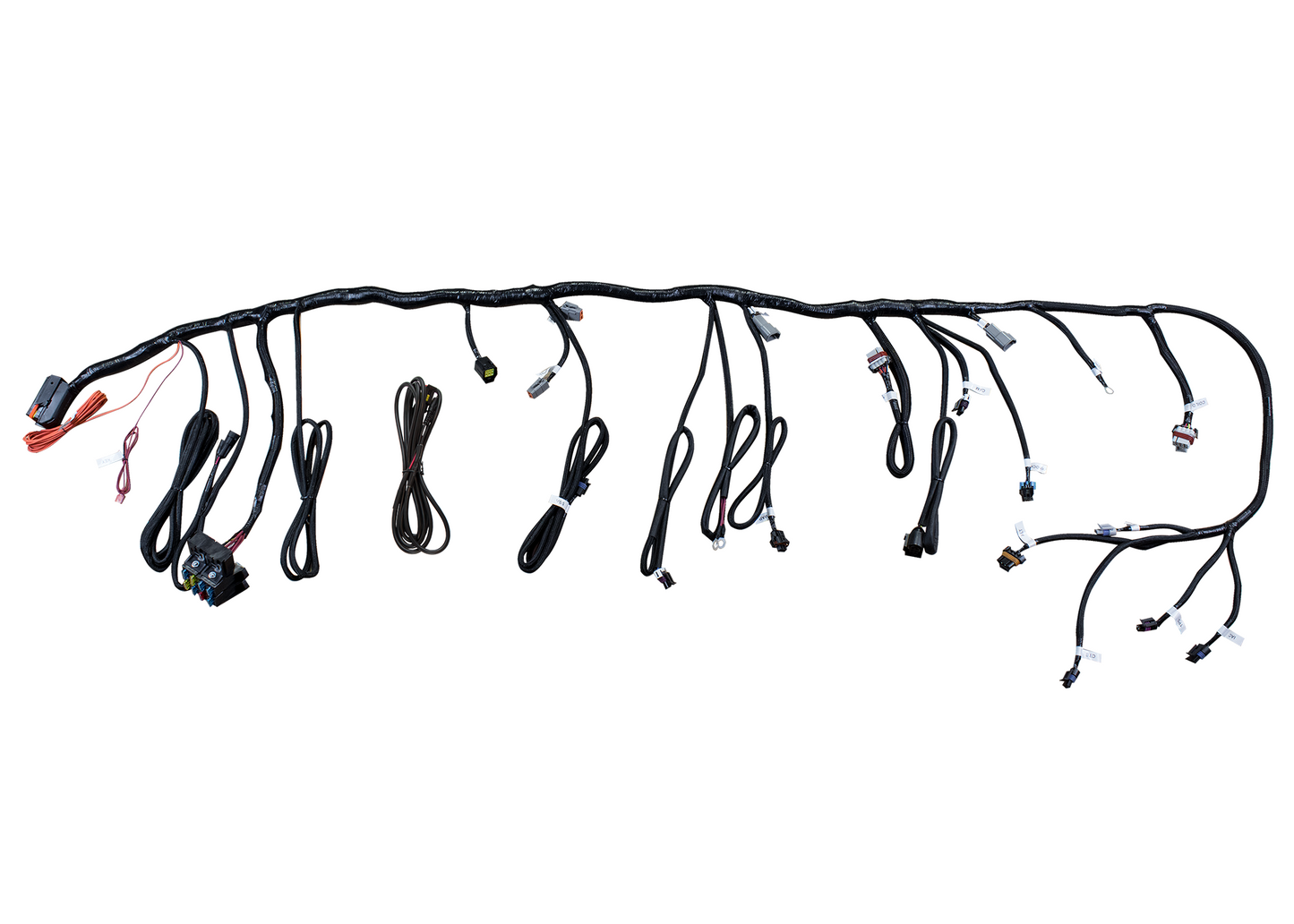 Primary LS Harness
