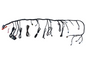 Primary LS Harness
