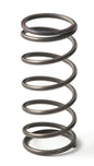 GFB EX50 9psi Spring (middle)