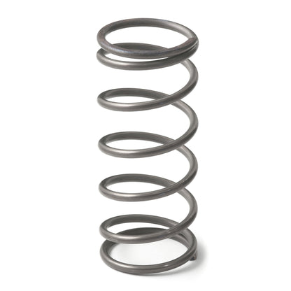 GFB EX50 9psi Spring (middle)