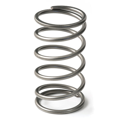 GFB EX50 13psi Spring (outer)