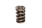 COMP Cams Valve Spring Stock Late Model 26094-1