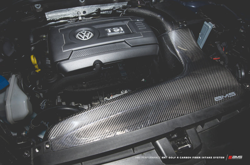 15-19 Golf R MK7 Carbon Intake, AMS AMS.21.08.0001-1