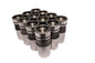 Race Hydraulic Flat Lifter Set Of 12 For Ford