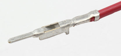 Wire Harness Assembly For TI Automotive Fuel Pumps