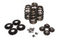 VALVE SPRING KIT BEEHIVE W/TI