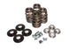 VALVE SPRING KIT HARLEY