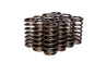 VALVE SPRINGS 0.970" INNER