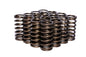 Engine Valve Spring Kit
