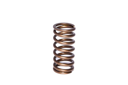 Engine Valve Spring