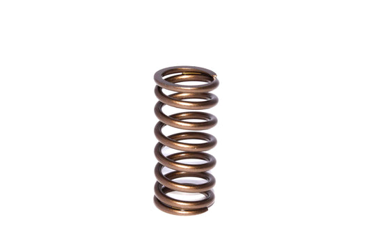 Engine Valve Spring