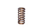 Engine Valve Spring