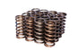 Engine Valve Spring Kit